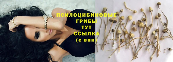 эйфоретик Гусев