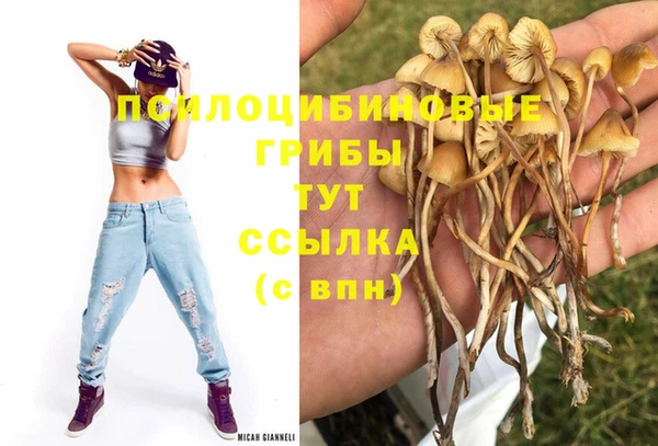 первитин Гусиноозёрск