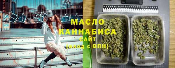 эйфоретик Гусев